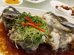-四季大酒楼(白濠店)