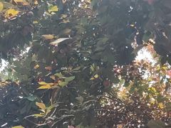-金海湾滨江公园
