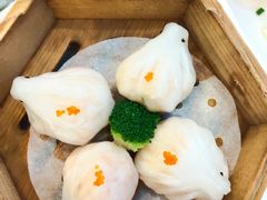 虾饺-寻味顺德·南记酒家·传统顺德菜·鱼生(广源路店)