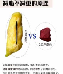 -Fundi张玉珊修身堂·indiba·BTL科技瘦身