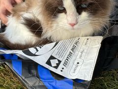 -星巴克(长沙桃子湖店)