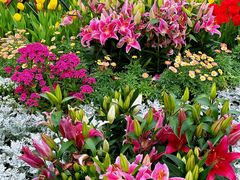 -厦门园林博览苑
