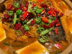 -嘉定凯悦·咖啡厅