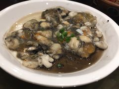 -海中洲渔社
