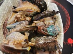活鲍鱼-阳光岛·海鲜盛宴(银泰中心in99店)