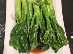 -新雅粤菜馆(南京东路店)