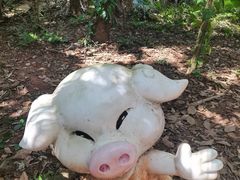 -海南热带野生动植物园