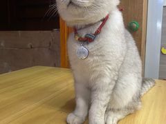 -兄弟鸡排.芋泥香酥鸭(淮海街店)