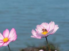 -艾溪湖湿地公园