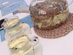 -喵的天空名猫咖啡馆·撸猫·猫舍·用品