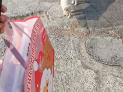 -好利来(桃源店)