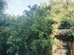 -鲤院·新中式美学·庭院餐厅(夫子庙店)