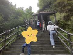 -茅兰沟国家森林公园