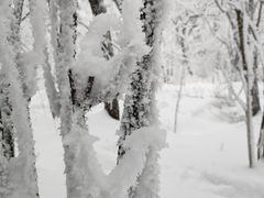 -终南山国家森林公园