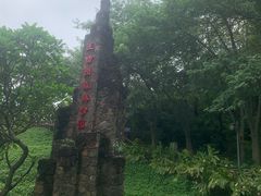 -王借岗森林公园