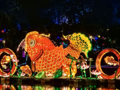 -广西壮族自治区药用植物园