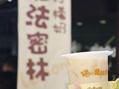 -猫的魔法密林(衣裳街店)