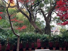 -岳麓山风景名胜区