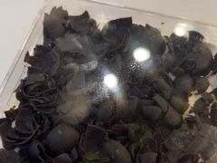 -特思甜蛋糕甜点(大兴龙湖天街店)