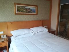 -维也纳酒店(成都春熙路李家沱地铁站店)