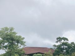 -广东惠东海龟国家级自然保护区