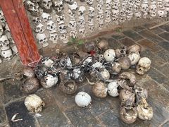 -比如骷髅墙景区