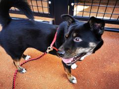 -枫香湖儿童公园