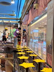 -卡通尼·Safari非洲探索乐园·生日会(金桥国际商业广场店)