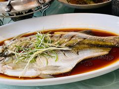 -绿园春早茶