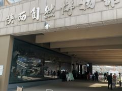 -陕西自然博物馆