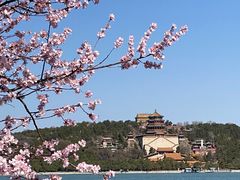 -颐和园