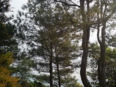 -浏阳石牛寨风景区