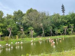 -杭州野生动物世界