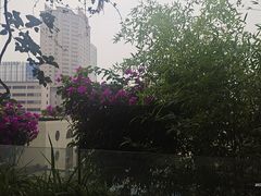 -听香·678茶铺(猛追湾店)