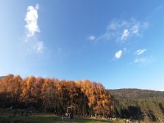 -硗碛藏寨·神木垒景区