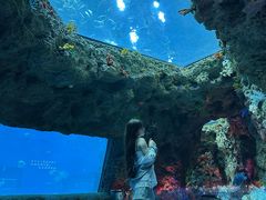 -南昌融创海世界