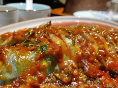 藿香豆瓣鱼-青城甲(青城山店)