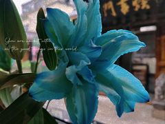 -都氏家DUSJOY(翡翠城店)