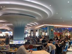 -帝企鹅自助餐厅•儿童岛•真企鹅(长隆企鹅酒店)