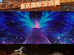 -重庆国际马戏城