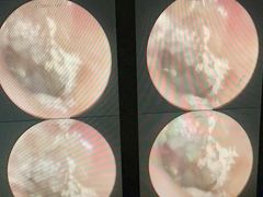 -南京禄口机场雅高铂尔曼大酒店