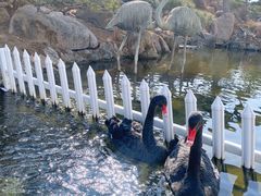 -罗红摄影艺术馆