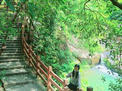 -广州白江湖森林公园