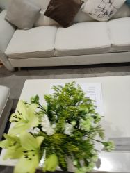 -HEYAN荷妍专业脱毛连锁机构