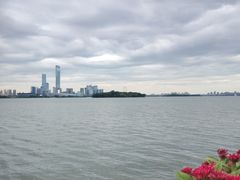 -金鸡湖景区