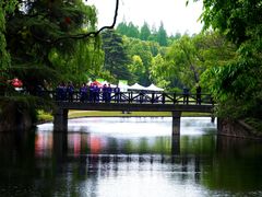 -上海共青森林公园