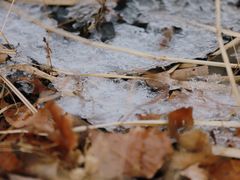 -野鸭湖国家湿地公园