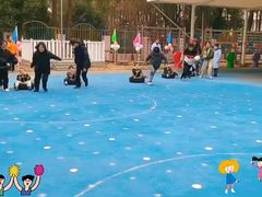 -上海市宝山星佑博爱幼儿园