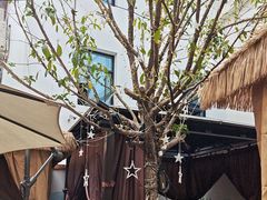 -后湖小院·乡野田园菜