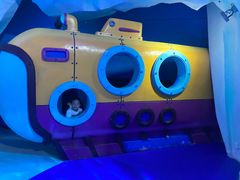 -海合安青岛极地海洋公园